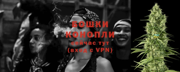 spice Инсар