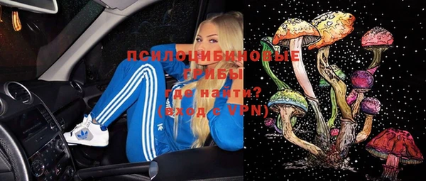 spice Инсар