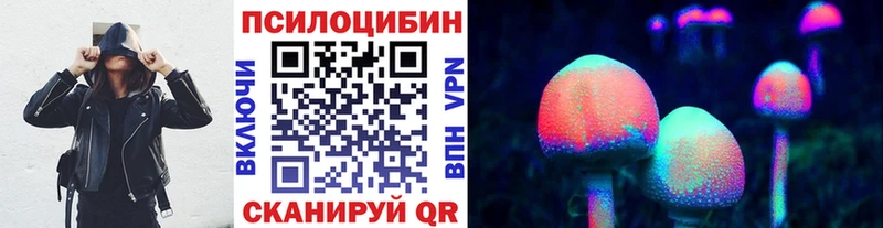 где купить наркотик  Шахты  дарк нет наркотические препараты  Псилоцибиновые грибы Magic Shrooms  ссылка на мегу онион 