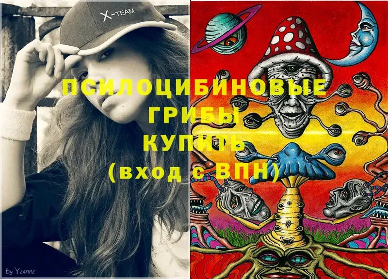 где купить МЕГА онион Галлюциногенные грибы мицелий Шахты