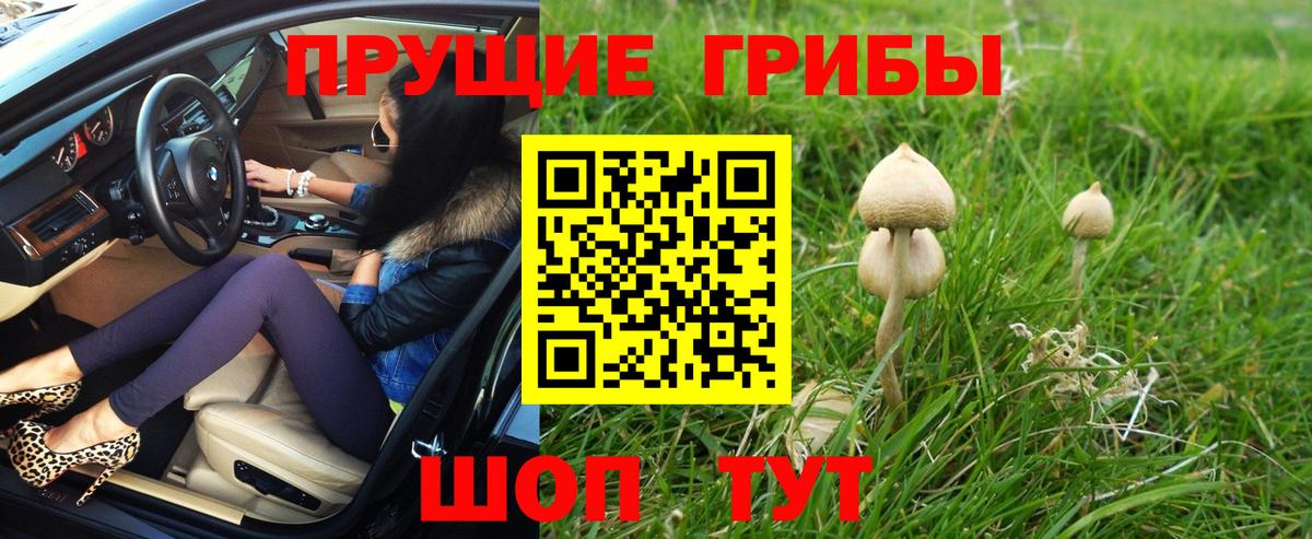 Шахты  Галлюциногенные грибы мицелий  Вход с VPN  Галлюциногенные грибы Cubensis 